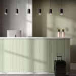 Miniature principale