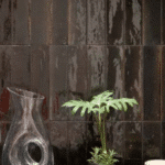 Miniature principale