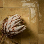 Miniature principale