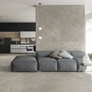 THUNDER TAUPE Natural 60x120