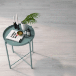 Miniature principale