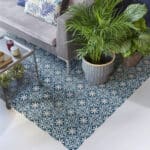 Miniature principale